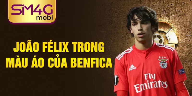 João Félix trong màu áo của Benfica