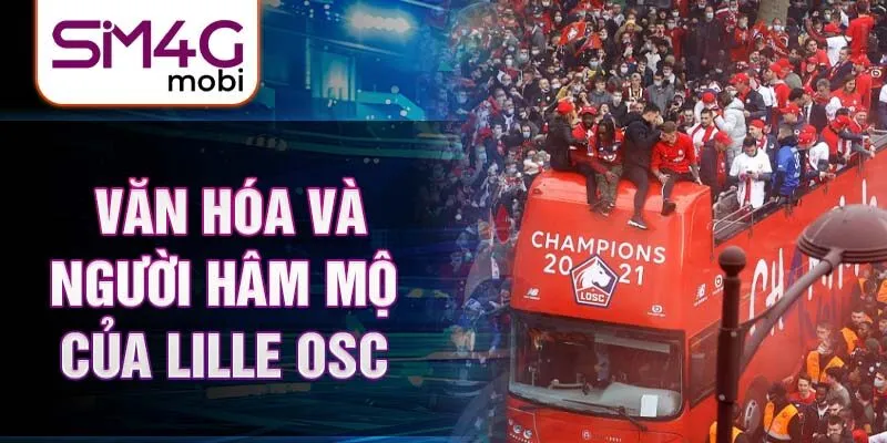 Văn hóa và người hâm mộ của Lille OSC