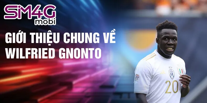 Giới thiệu chung về Wilfried Gnonto