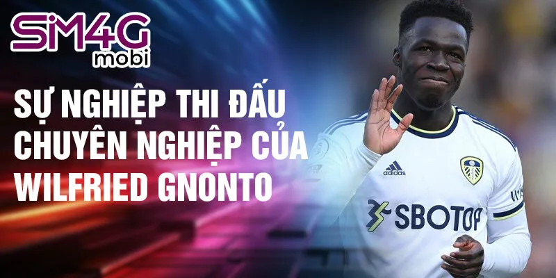 Sự nghiệp thi đấu chuyên nghiệp của Wilfried Gnonto
